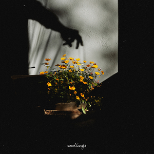 扒开老师裙子x狂揉x
