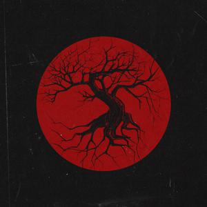 女人❌又爽❌又黄❌视频
