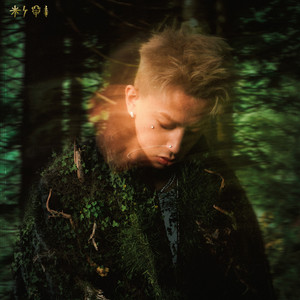 今井真由美无码在线观看
