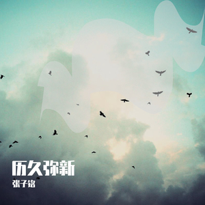 二次元美女大雷壁纸
