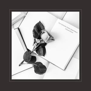 ▓成人蘑菇视频▓
