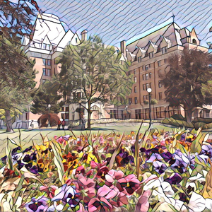 鸣人❌18禁视频网站
