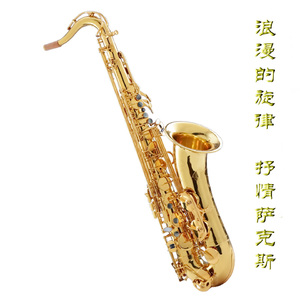 动漫无码番肉18❤魅魔链接
